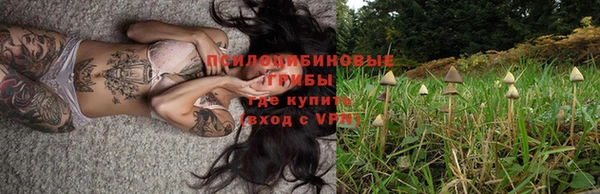 дмт Алексеевка