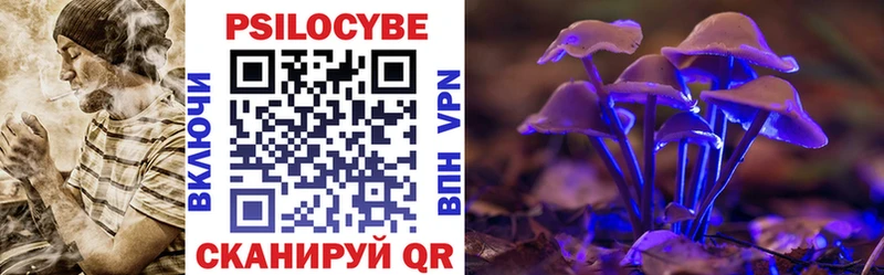 Псилоцибиновые грибы Cubensis  Шахты 