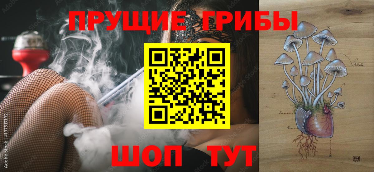 Псилоцибиновые грибы прущие грибы  Вход с VPN  Шахты 